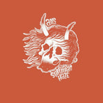 AYS / IN CIRCLES - "SUBURBAN HAZE" / "REVERIE CULT" - (2x7")